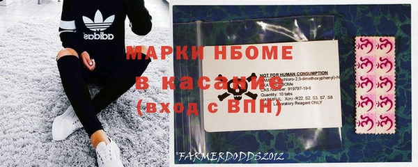 индика Нягань