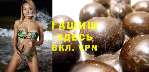 индика Нягань